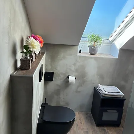 Kolb Guest house