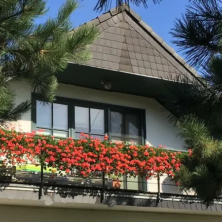 Kolb Guest house